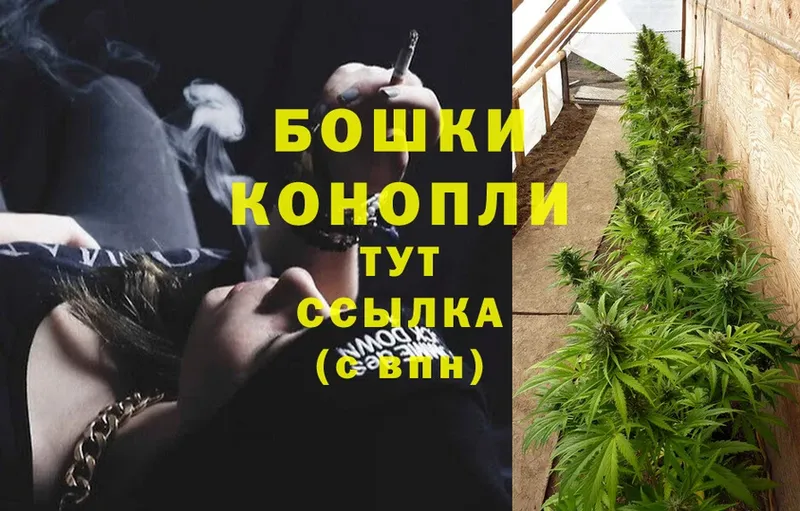 Конопля LSD WEED  купить наркотик  Александровск 